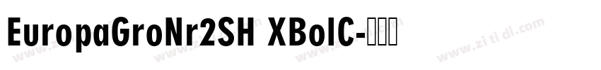 EuropaGroNr2SH XBolC字体转换